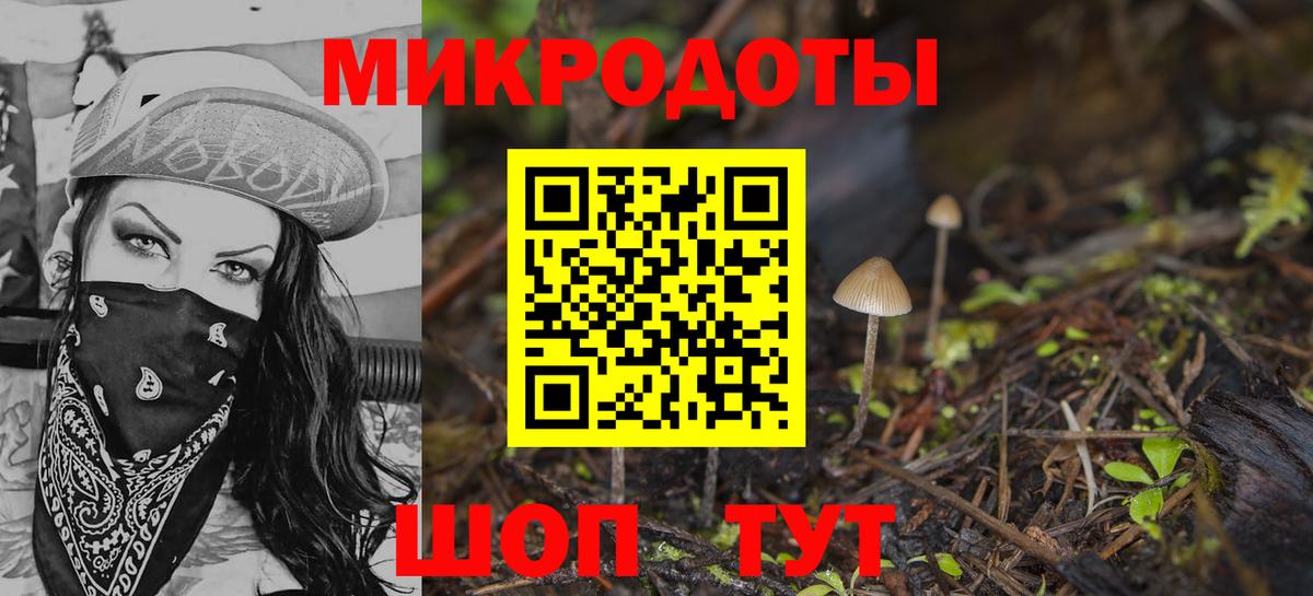 Галлюциногенные грибы мицелий  Галлюциногенные грибы Magic Shrooms  Вход с VPN  хочу наркоту  Павлово 